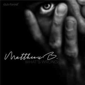 Matthieu B. - What's Wrong FLAC
