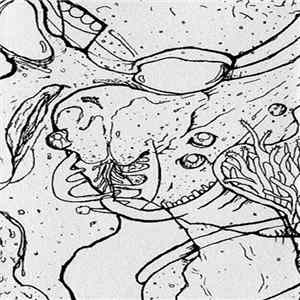 Panicsville - Psychosexual FLAC