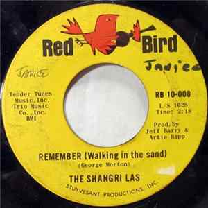 The Shangri Las - Remember (Walking In The Sand) FLAC
