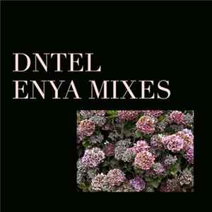 Dntel - Enya Mixes FLAC