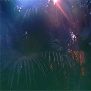 Raffet - Barrio Riddims FLAC