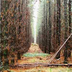 Apart From This - In Gloom FLAC