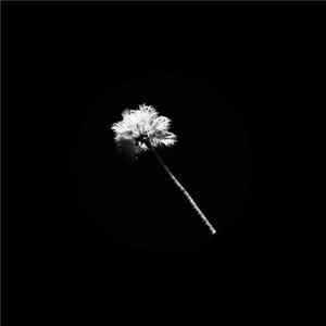 Black Atlass - Haunted Paradise FLAC