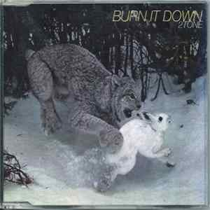 2 Tone - Burn It Down FLAC