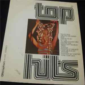 Unknown Artist - Top Hits FLAC