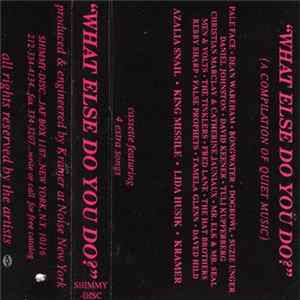 Various - What Else Do You Do?: A Compilation Of Quiet Music FLAC