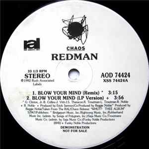 Redman - Blow Your Mind FLAC