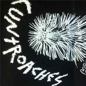 CUNTROACHES - Demo FLAC