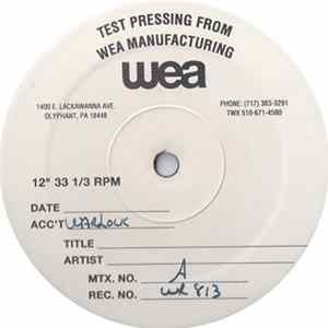 Mantronix - Needle To The Groove FLAC