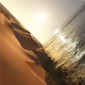 Mark Pritchard - Under The Sun FLAC