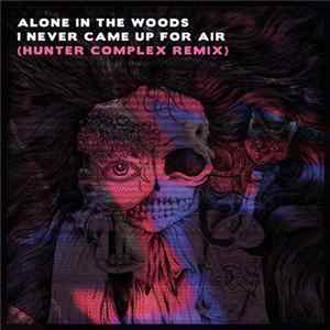 Alone In The Woods - I Never Came Up For Air (Hunter Complex Remix) FLAC
