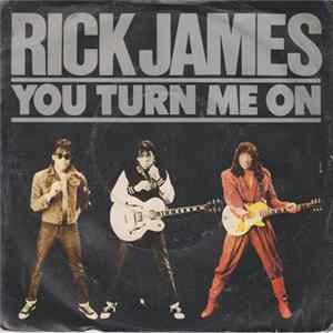 Rick James - You Turn Me On FLAC