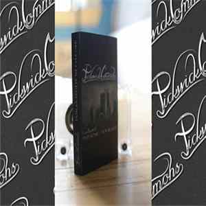 Pickwick Commons - Old Sense // New Reality FLAC