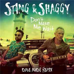 Sting & Shaggy - Don't Make Me Wait (Dave Audé Remix) FLAC