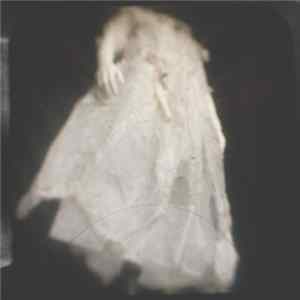 Neil Jendon - Cities In Flight FLAC