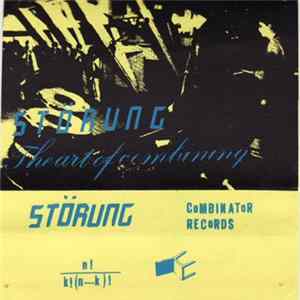 Störung - The Art Of Combining FLAC