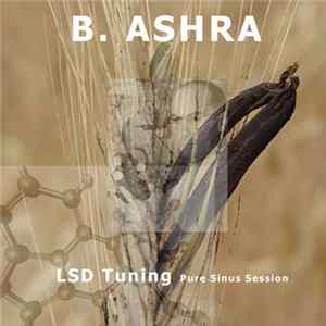 B. Ashra - LSD Tuning FLAC
