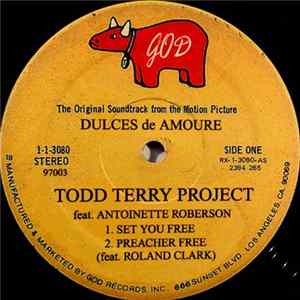 The Todd Terry Project - Set You Free FLAC