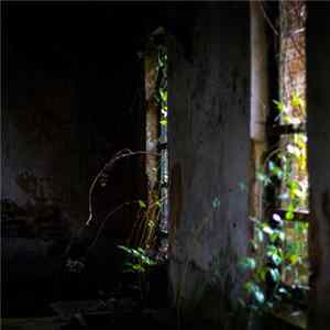 Hakobune & Dirk Serries - Obscured By Beams Of Sorrow FLAC