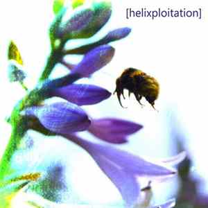 Static Noise Bird - [helixploitation] FLAC