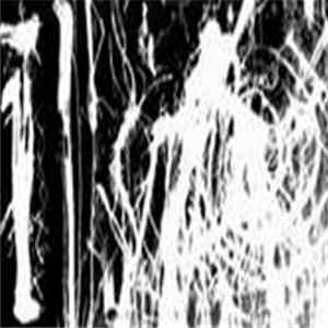 Holomráz - Hořeplavba FLAC
