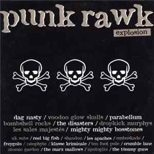 Various - Punk Rawk Explosion FLAC