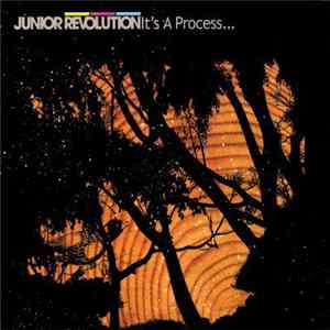 Junior Revolution - It's A Process... FLAC