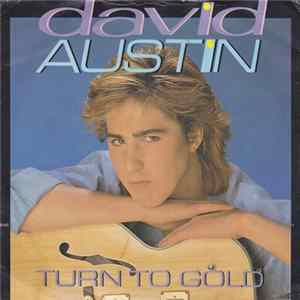 David Austin - Turn To Gold FLAC