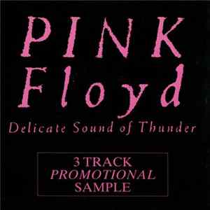 Pink Floyd - Delicate Sound Of Thunder (3 Track Promotional Sample) FLAC