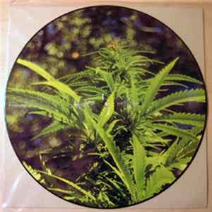 State Of Flux - Grow More Pot FLAC