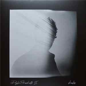 Doyle Bramhall II - Shades FLAC