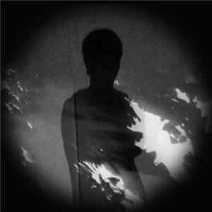 Nich Cunningham - Swallow Needles FLAC