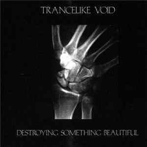 Trancelike Void - Destroying Something Beautiful FLAC