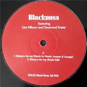 Blacknuss Allstars Featuring Desmond Foster And Lisa Nilsson - Rising To The Top FLAC