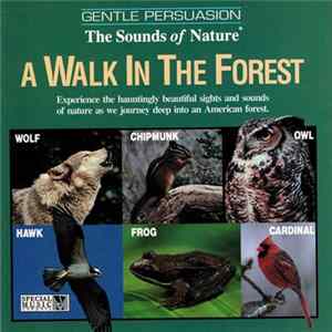 No Artist - A Walk In The Forest FLAC