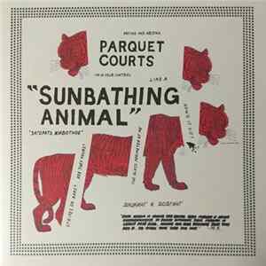 Parquet Courts - Sunbathing Animal FLAC
