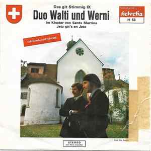 Duo Walti Und Werni - Das Git Stimmig IX FLAC