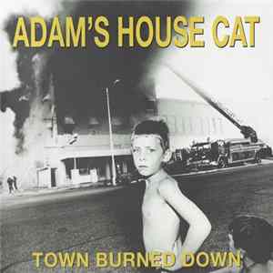 Adam's House Cat - Town Burned Down FLAC
