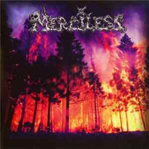 Merciless - Merciless FLAC