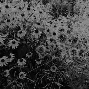 Daniel Spicer and Paul Khimasia Morgan - Sepertae FLAC