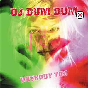 DJ Bum Bum - Without You FLAC