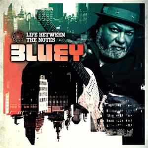 Bluey - Life Between The Notes FLAC