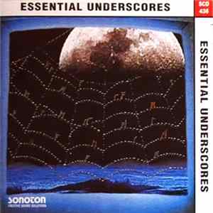 Chris Hajian, Rich Samalin - Essential Underscores FLAC