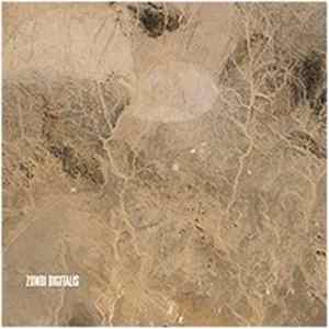 Zombi - Digitalis FLAC