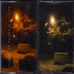 Fossils - Dreaming Of Babylon FLAC