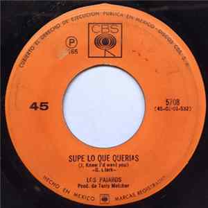 Los Pajaros - Mister Tamborin = Mr. Tambourine Man FLAC