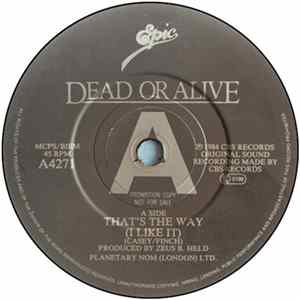 Dead Or Alive - That's The Way (I Like It) FLAC