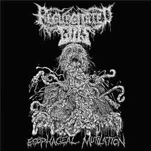 Regurgitated Guts - Esophageal Mutilation FLAC