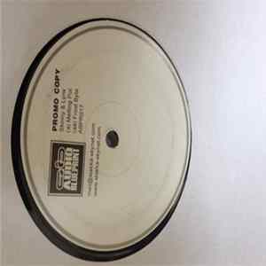 Skinny & Lynx - Melting Pot / Frost Byte FLAC