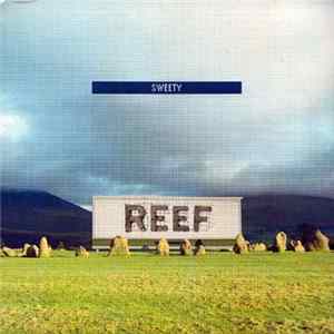 Reef - Sweety FLAC